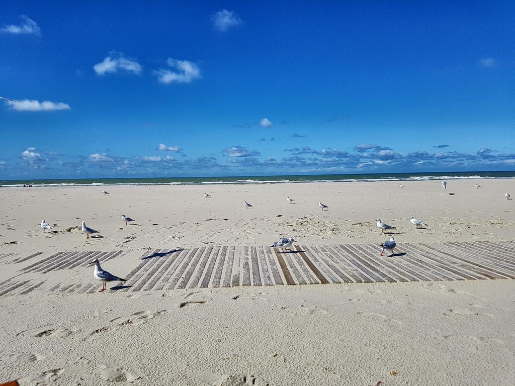 Les Fruits De Mer, Terrasse Sud, Parking Gratuit, Calme Et Tout A Pied Berck Exteriér fotografie